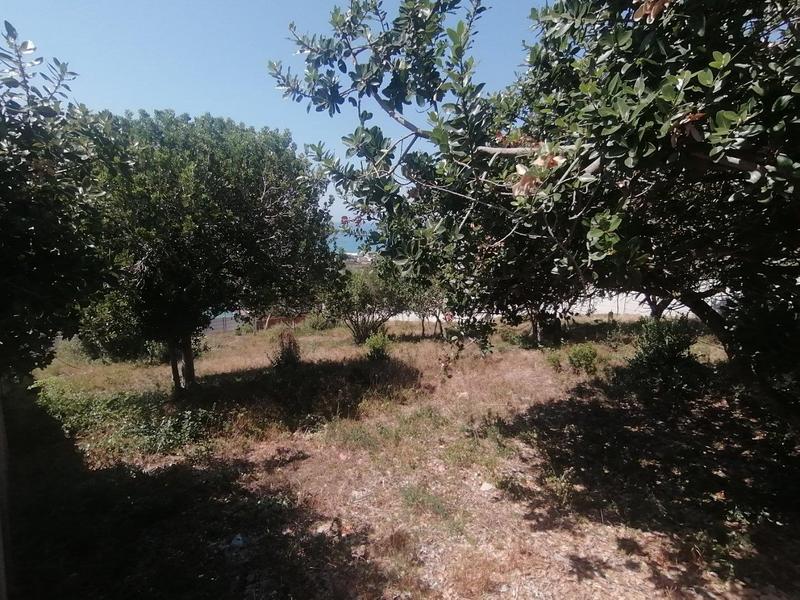 0 Bedroom Property for Sale in Tergniet Western Cape